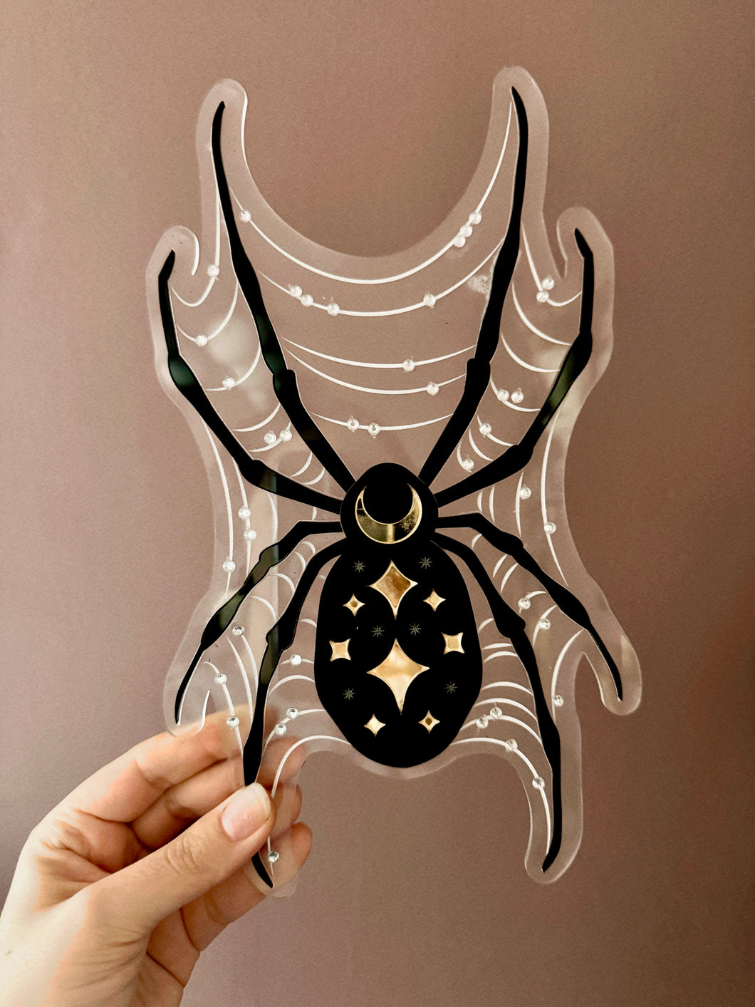 Spider & Her Web Wall Art
